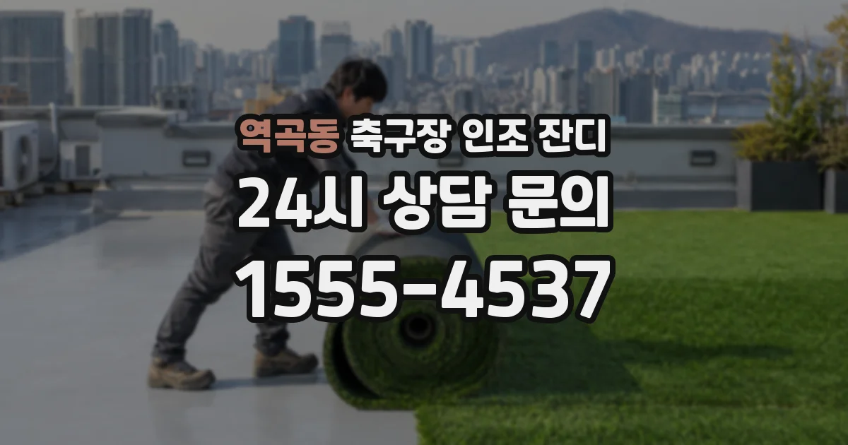 역곡동 축구장 인조 잔디