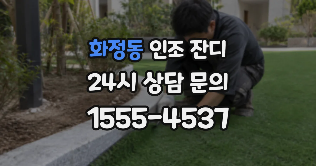 화정동 인조 잔디