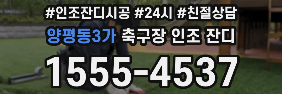 양평동3가 축구장 인조 잔디