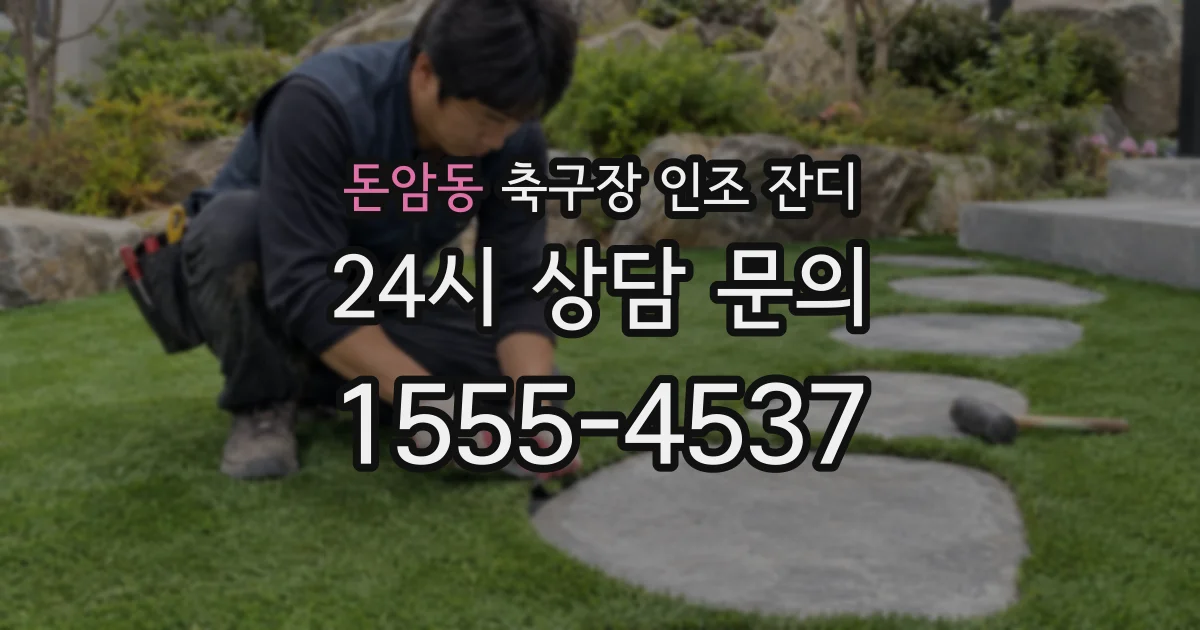 돈암동 축구장 인조 잔디