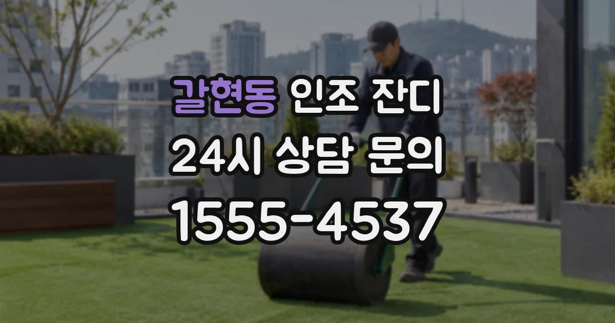 갈현동 인조 잔디