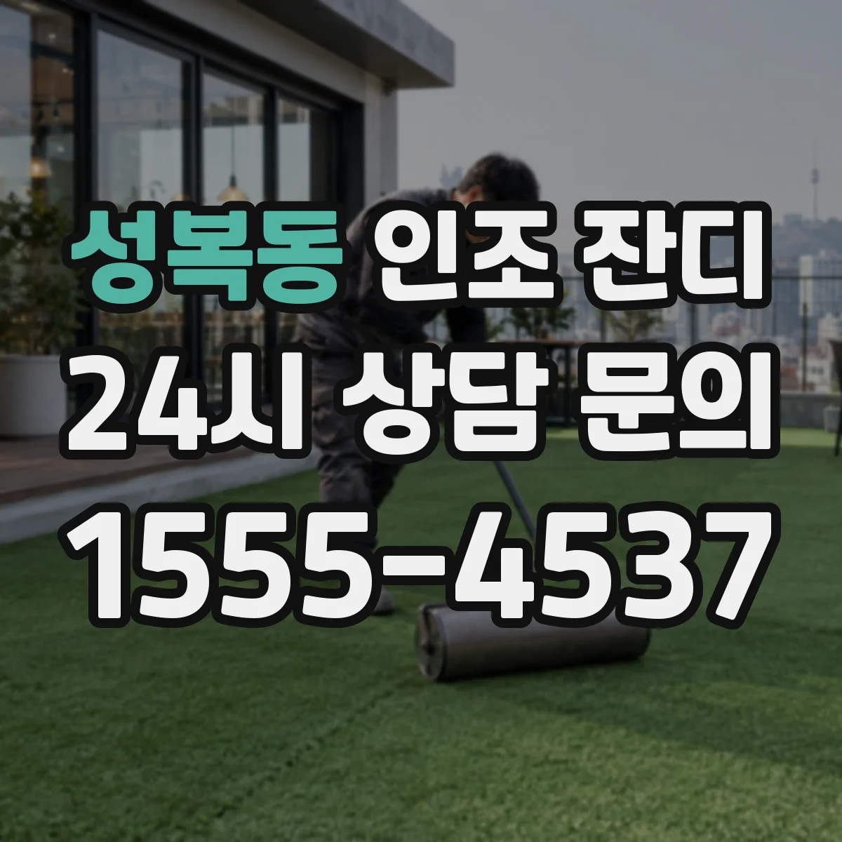 성복동 인조 잔디