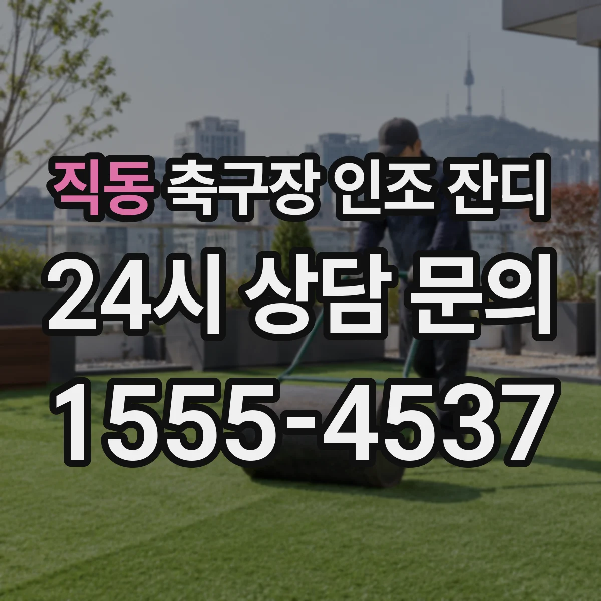 직동 축구장 인조 잔디