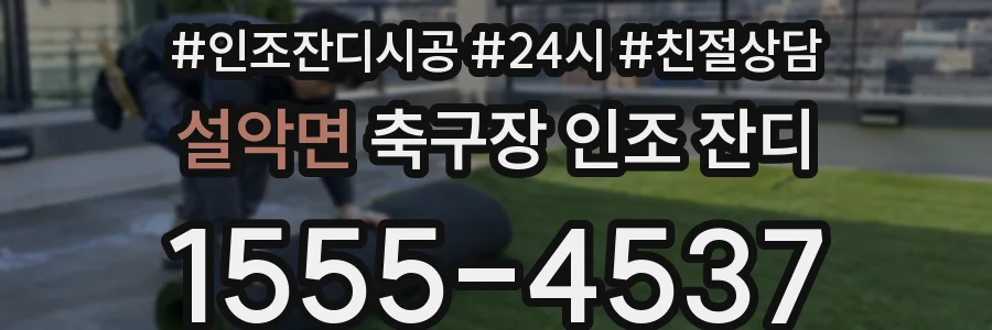 설악면 축구장 인조 잔디