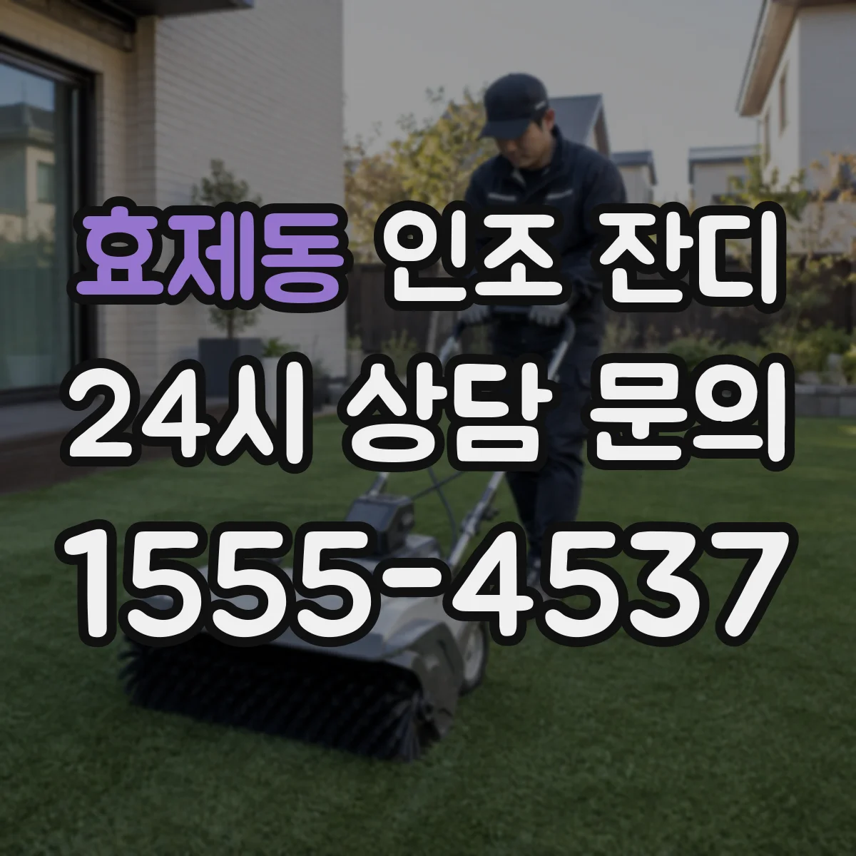 효제동 인조 잔디