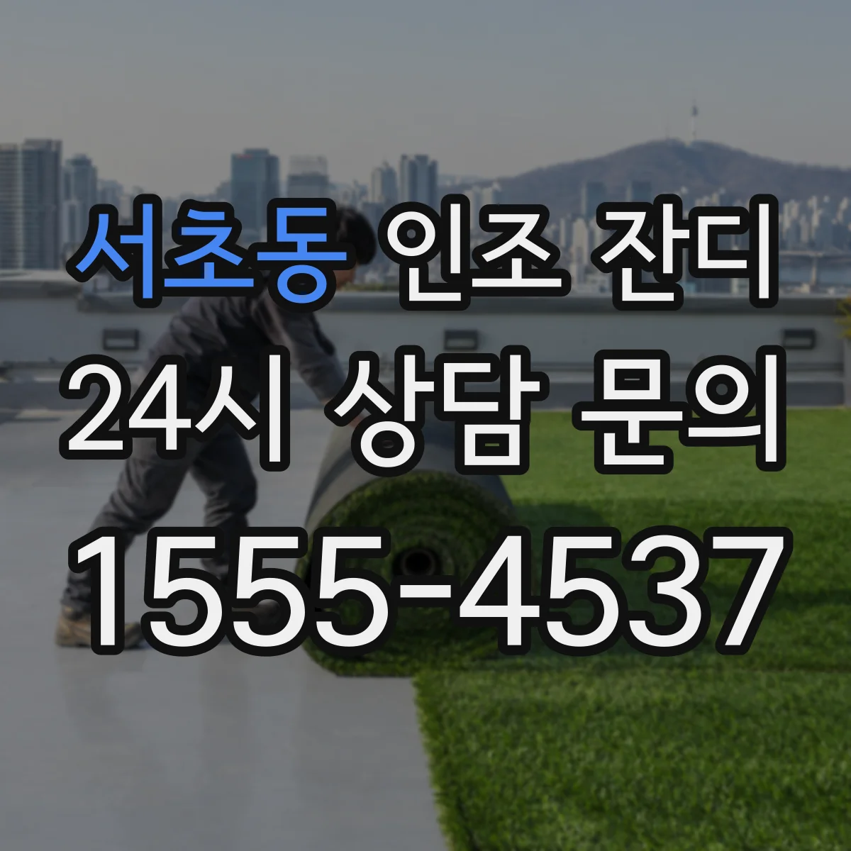 서초동 인조 잔디