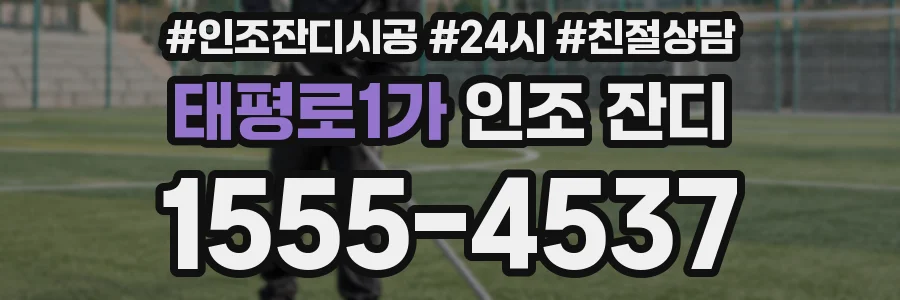 태평로1가 인조 잔디