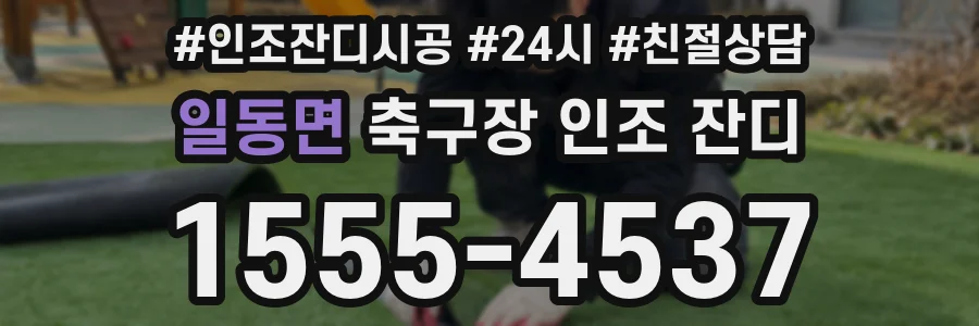 일동면 축구장 인조 잔디