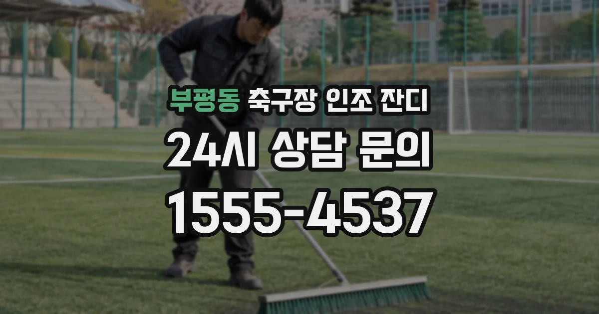 부평동 축구장 인조 잔디