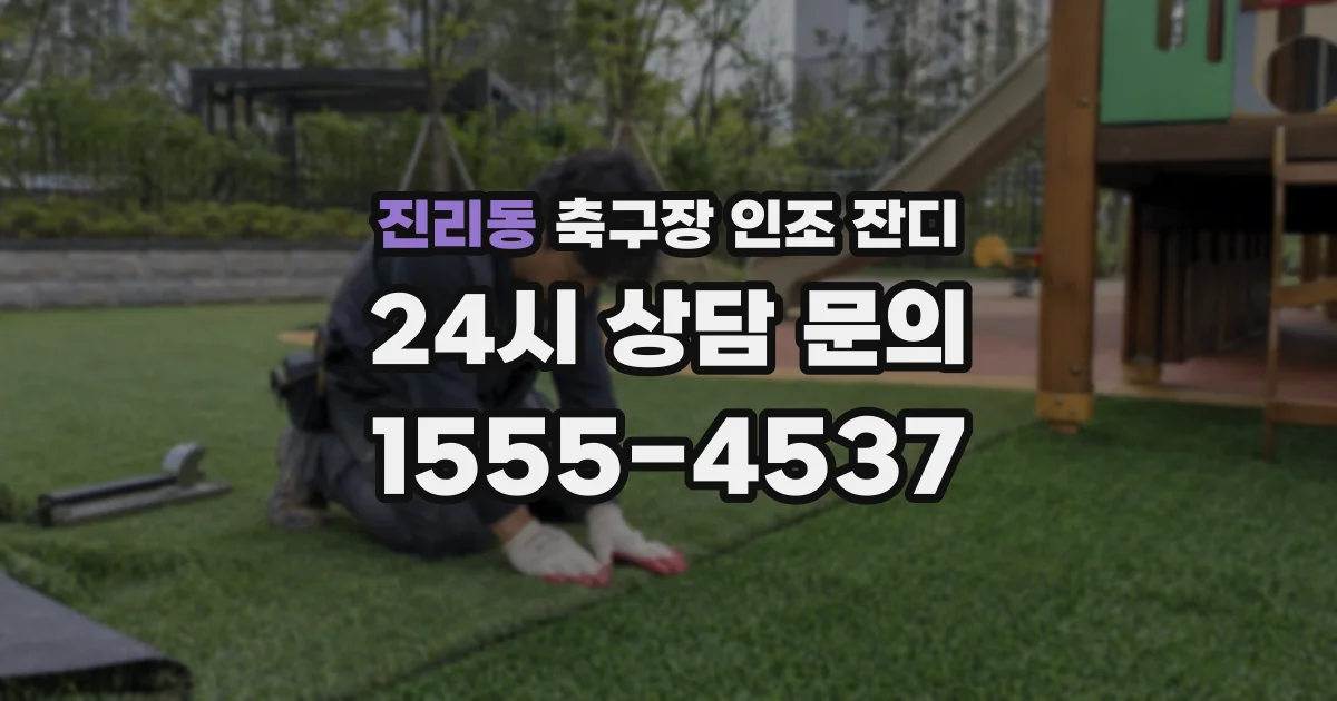 진리동 축구장 인조 잔디