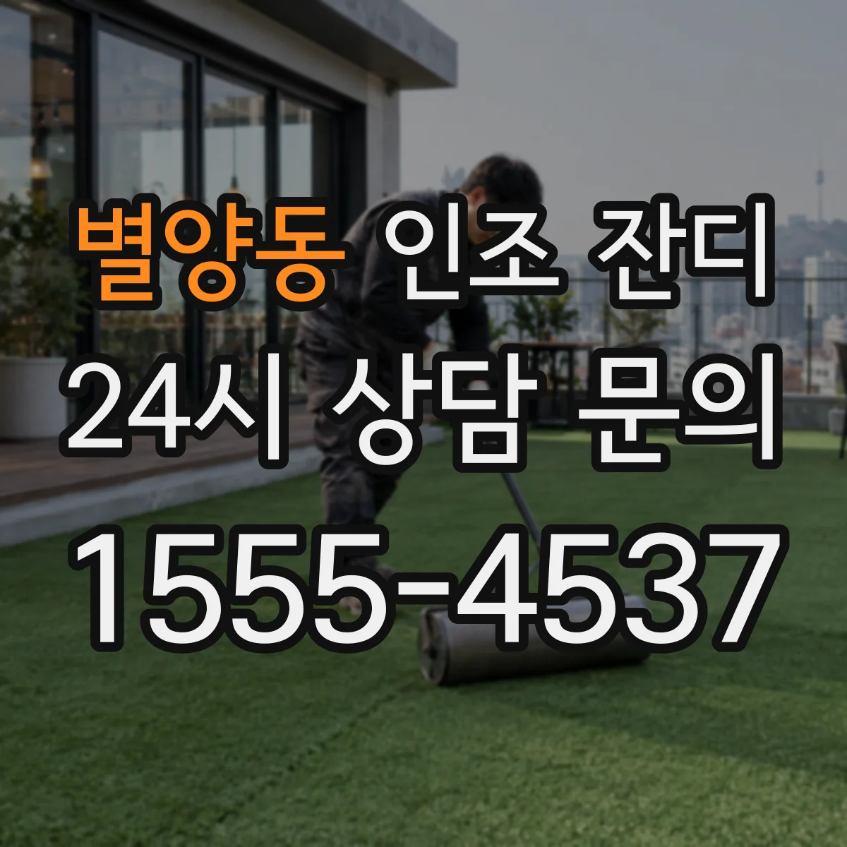 별양동 인조 잔디