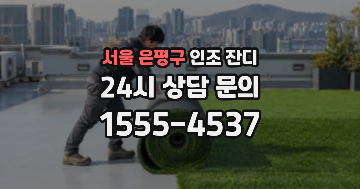 서울 은평구 인조 잔디