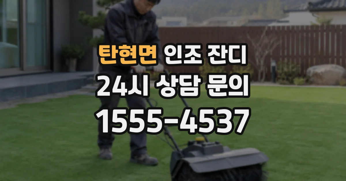 탄현면 인조 잔디