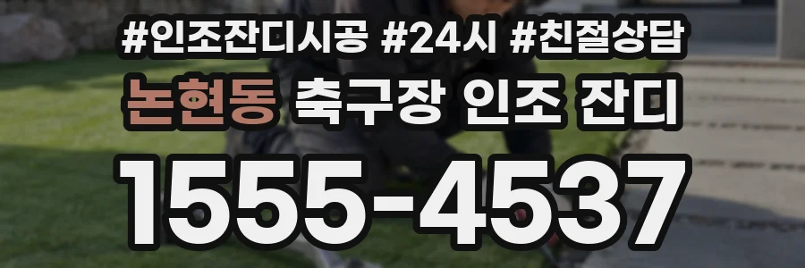 논현동 축구장 인조 잔디