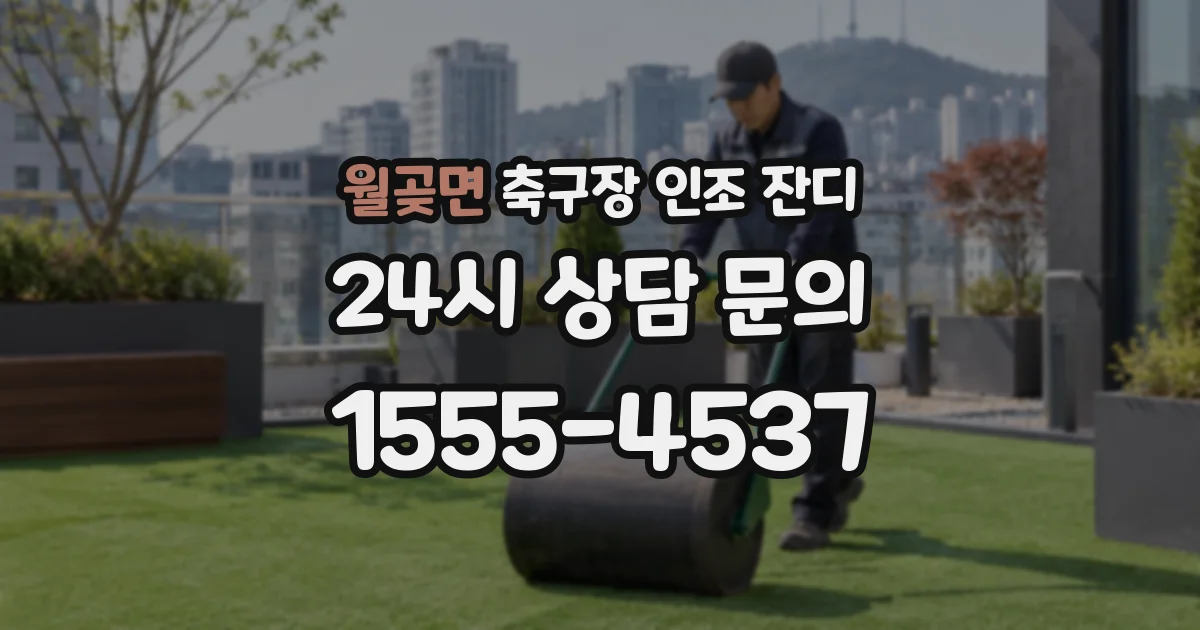 월곶면 축구장 인조 잔디