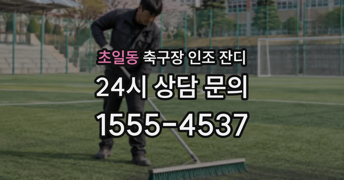 초일동 축구장 인조 잔디