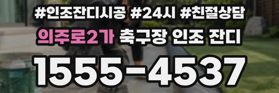 의주로2가 축구장 인조 잔디