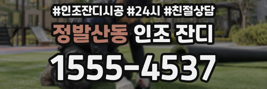 정발산동 인조 잔디