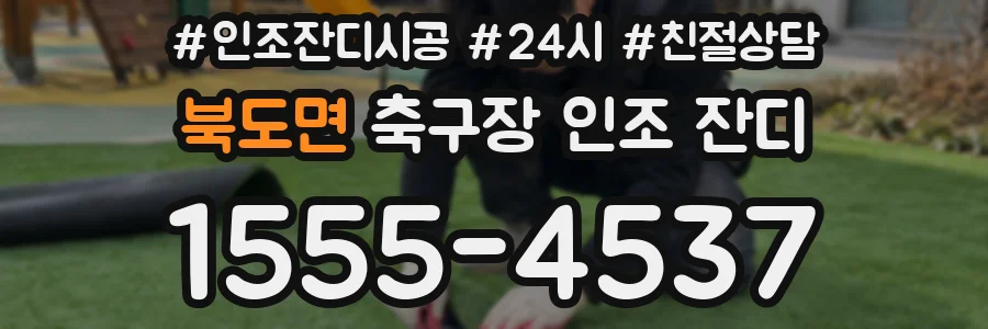 북도면 축구장 인조 잔디