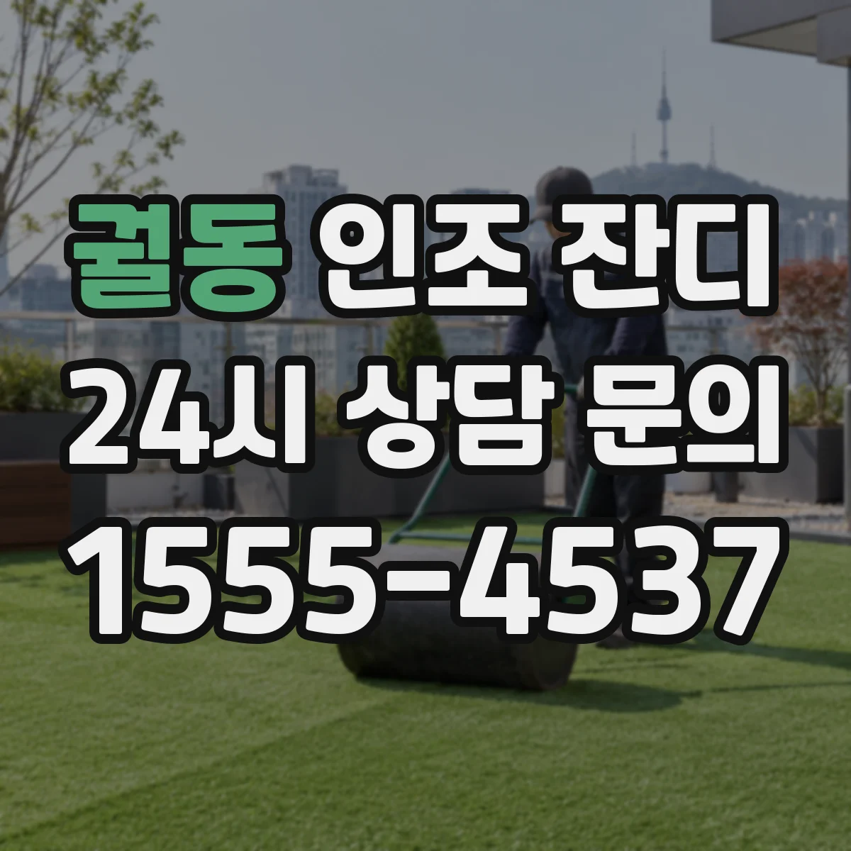 궐동 인조 잔디