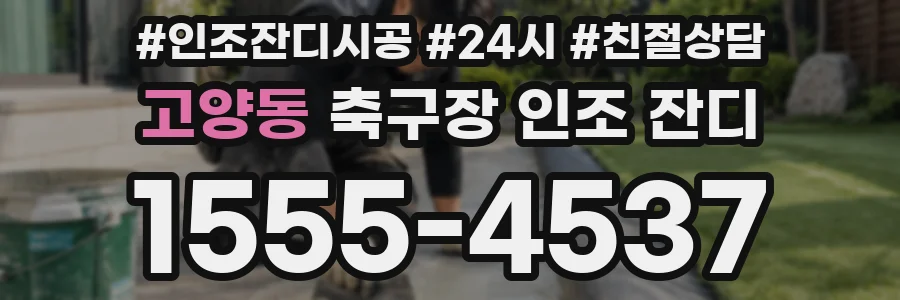 고양동 축구장 인조 잔디