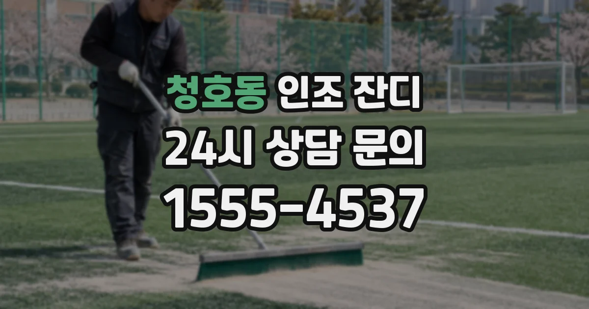 청호동 인조 잔디
