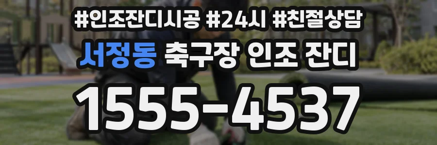 서정동 축구장 인조 잔디