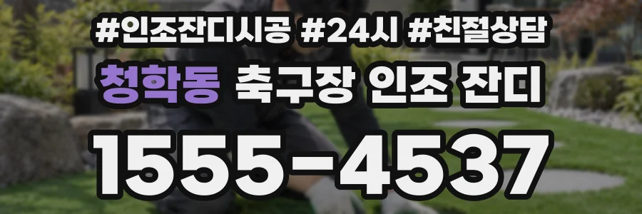 청학동 축구장 인조 잔디