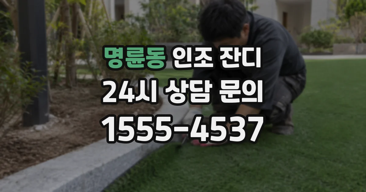 명륜동 인조 잔디