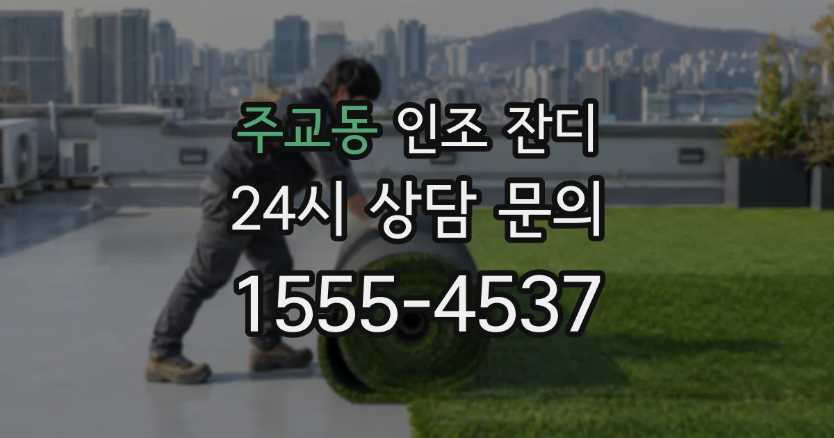 주교동 인조 잔디