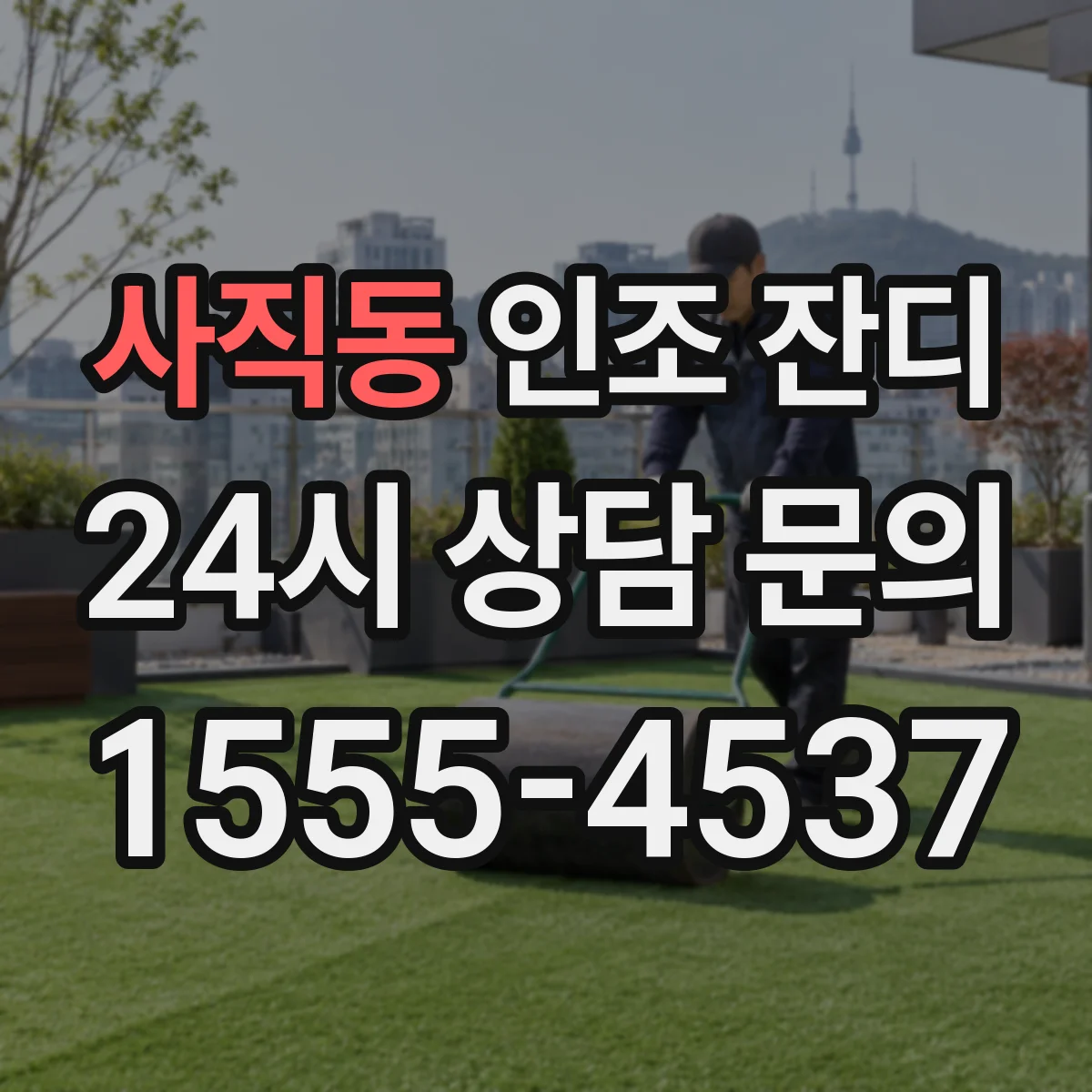 사직동 인조 잔디