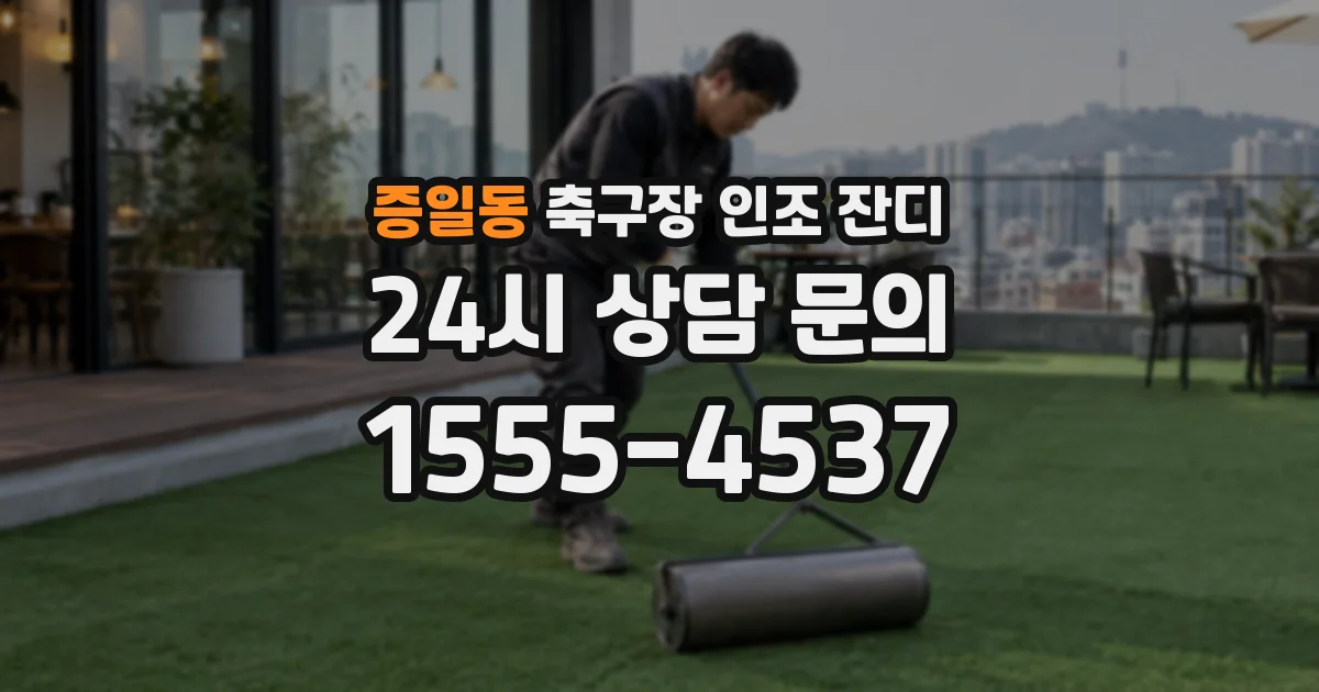 증일동 축구장 인조 잔디