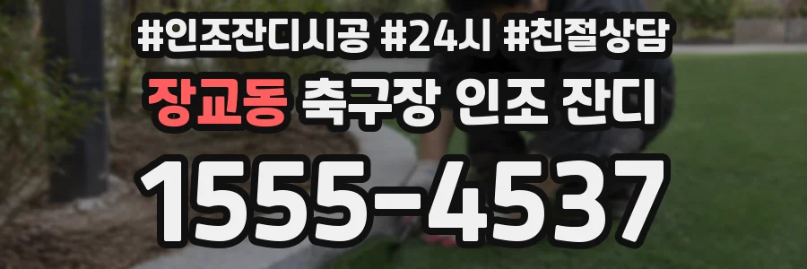 장교동 축구장 인조 잔디