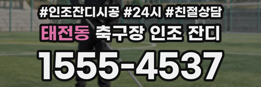 태전동 축구장 인조 잔디