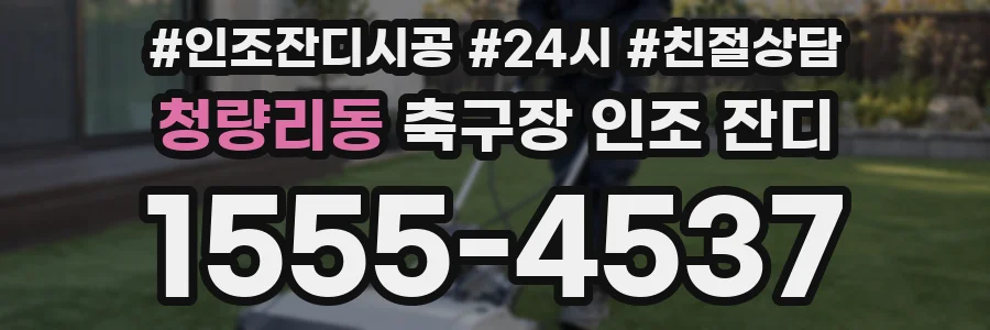 청량리동 축구장 인조 잔디
