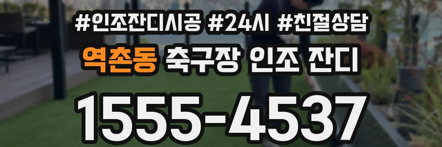 역촌동 축구장 인조 잔디