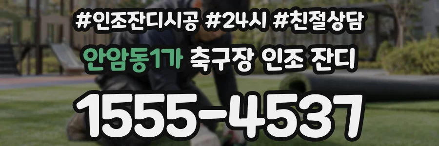 안암동1가 축구장 인조 잔디