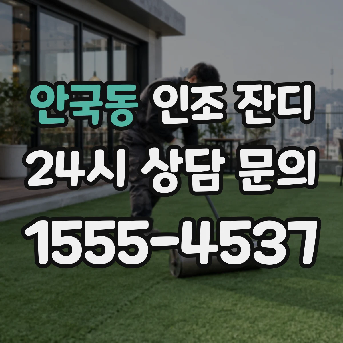 안국동 인조 잔디