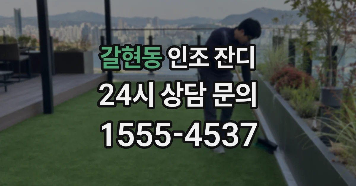 갈현동 인조 잔디