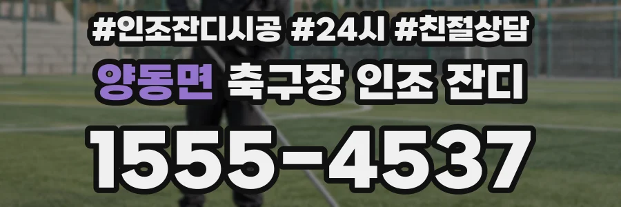 양동면 축구장 인조 잔디