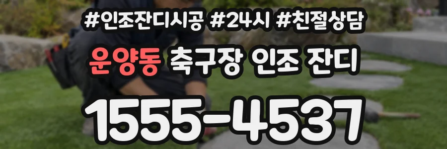 운양동 축구장 인조 잔디
