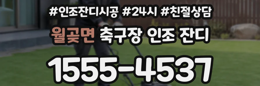 월곶면 축구장 인조 잔디