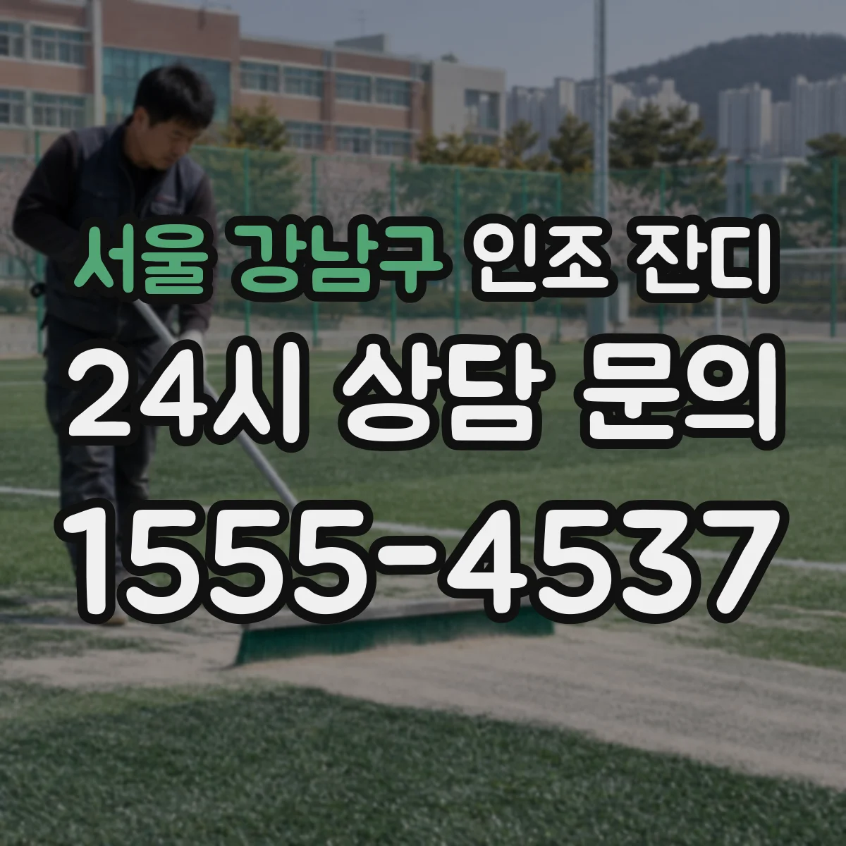 서울 강남구 인조 잔디