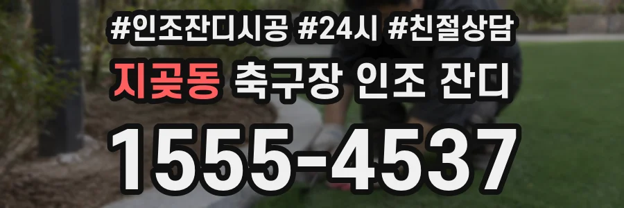 지곶동 축구장 인조 잔디