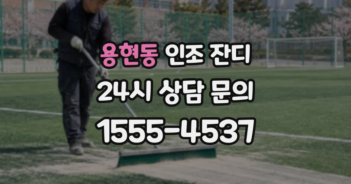 용현동 인조 잔디