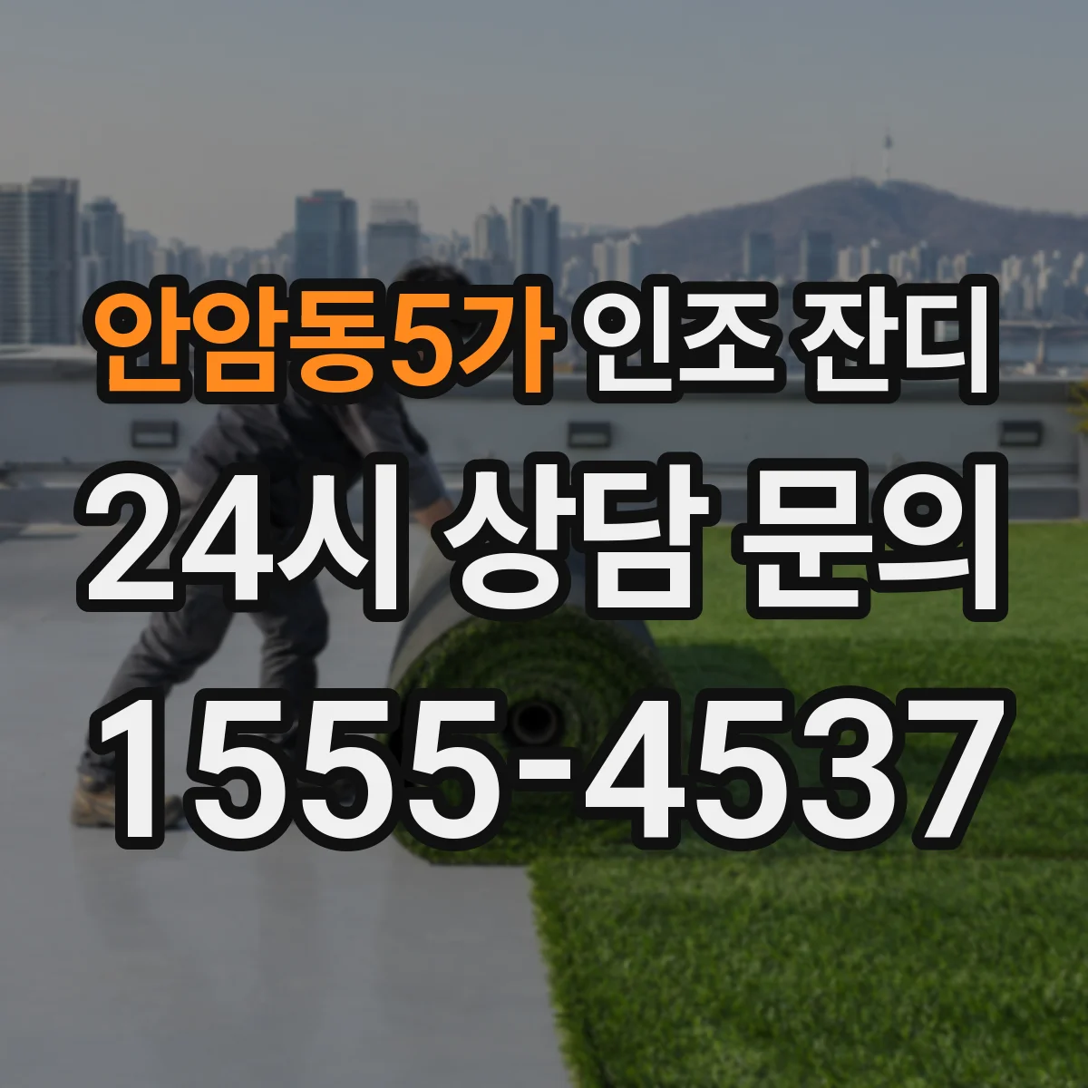 안암동5가 인조 잔디