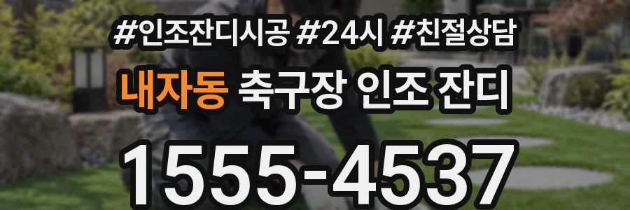 내자동 축구장 인조 잔디