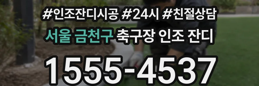 서울 금천구 축구장 인조 잔디