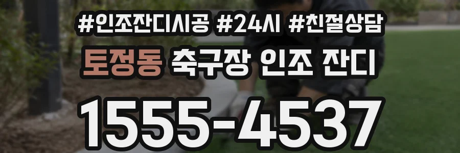 토정동 축구장 인조 잔디