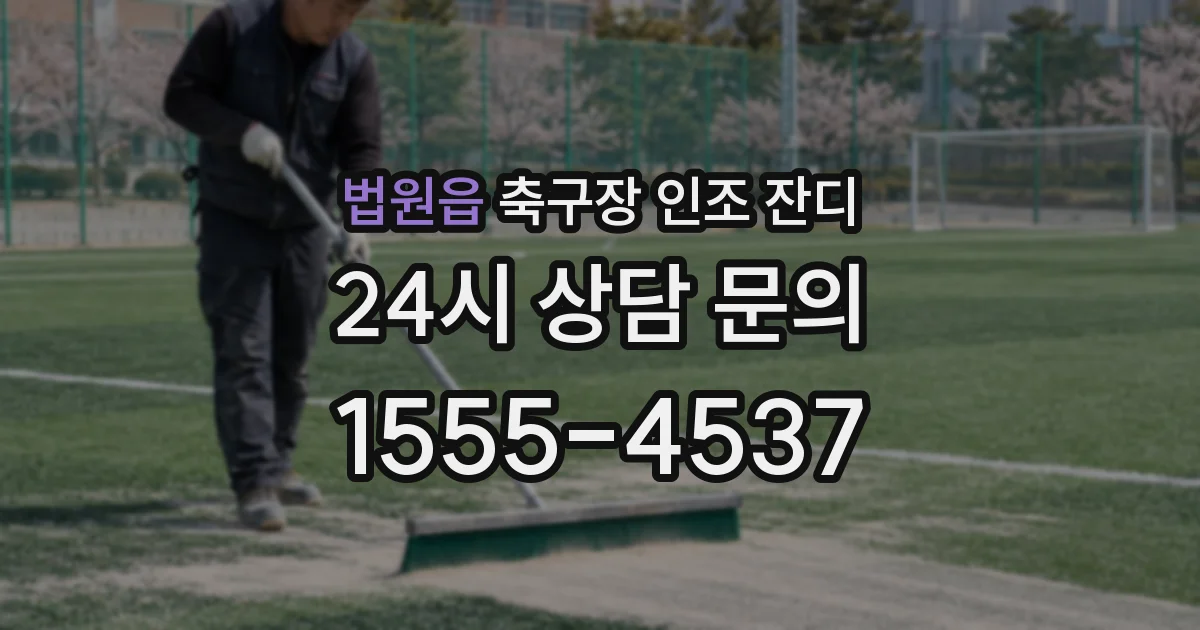 법원읍 축구장 인조 잔디